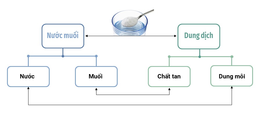 So sánh hỗn hợp và dung dịch